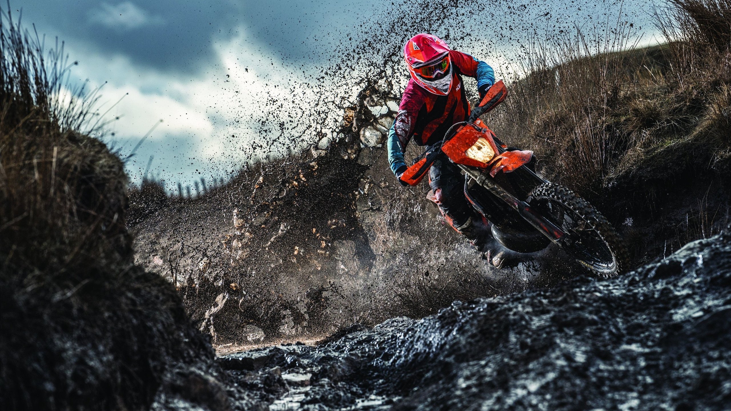 麦肯齐：全黑队进攻核心，突破后的传球总能找到队友，麦肯齐个人资料